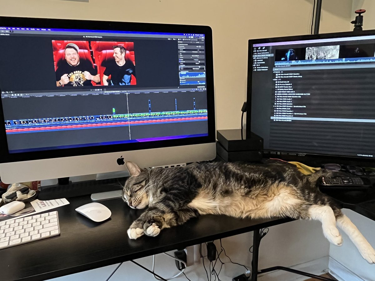 TheAdamLash's tweet photo. This little adorable agent of chaos has been doing his best to distract me from editing #ObiWan today. He’s a cute little Cat Sith, and he ultimately failed. Editing is done and eps 1 will be up on @PViewd soon 😁 https://t.co/Er3iHkGoLP