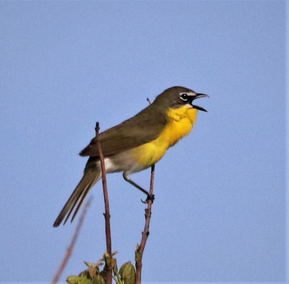 Bill Belford tweet media