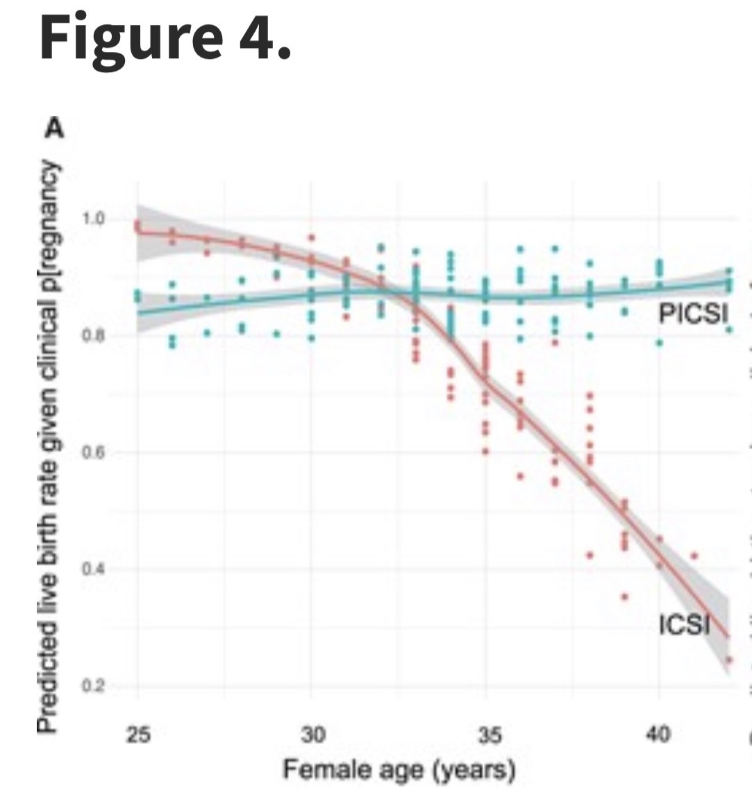 Jackson C K-B tweet media