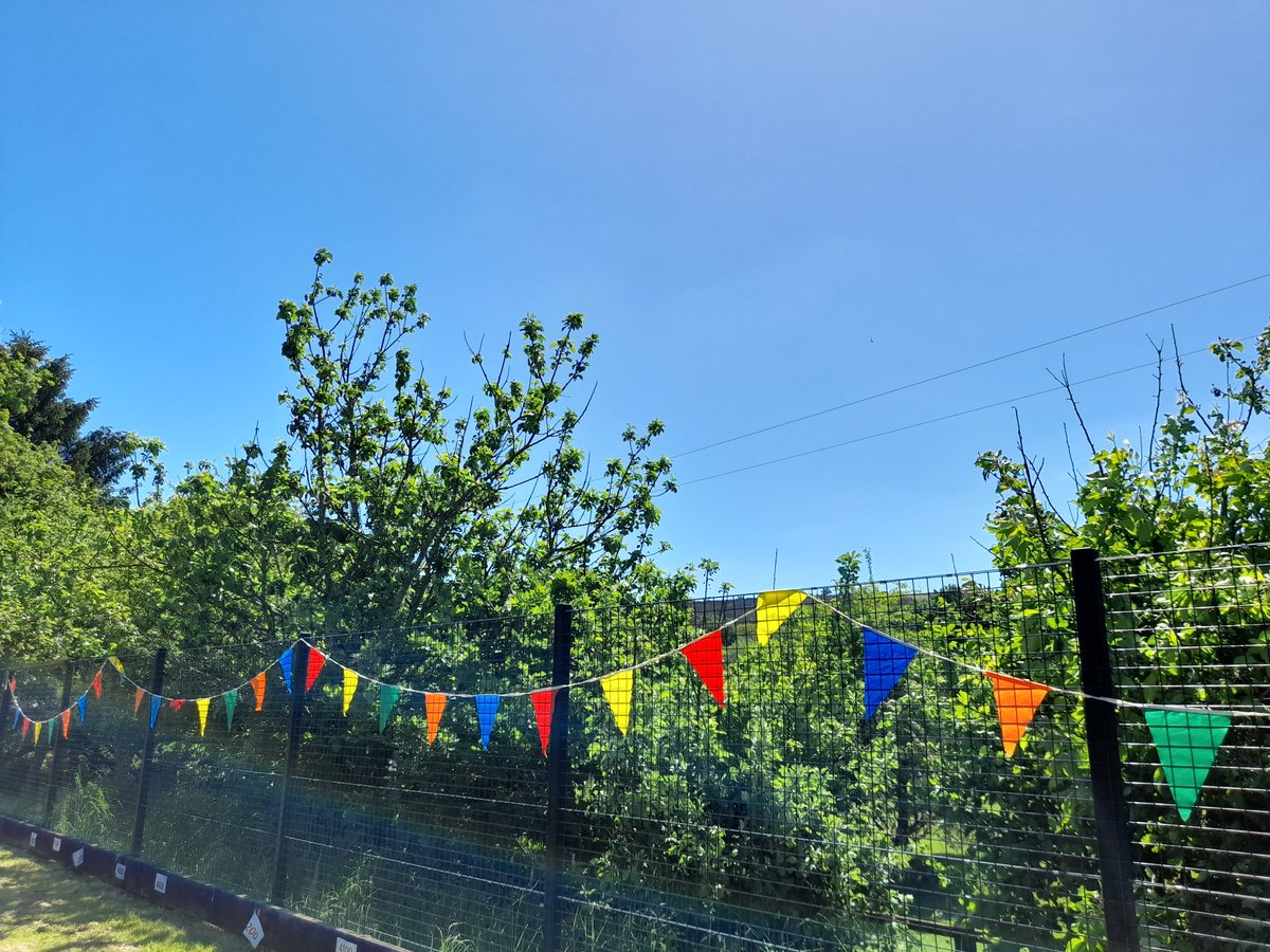 MeavySchool's tweet photo. A wonderful afternoon celebrating the Jubilee. Happy children, happy staff, blue skies and bunting. Just perfect. #Dartmoor #queensplatinumjubilee #littleschoolbigheart #Meavy @stchris_trust @CofEDevon https://t.co/VGMbNiLE2E