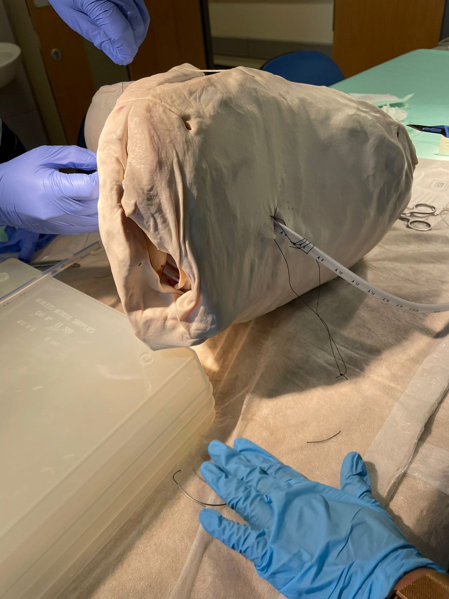 FTSS East Midlands tweet media