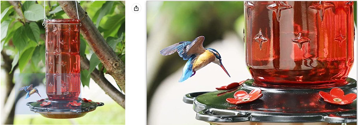 GuloThoughts's tweet photo. Just gonna browse some hummingbird fee-

HOLD UP 😳
(Actual photos from online vendor) https://t.co/eTNnuO9fHD