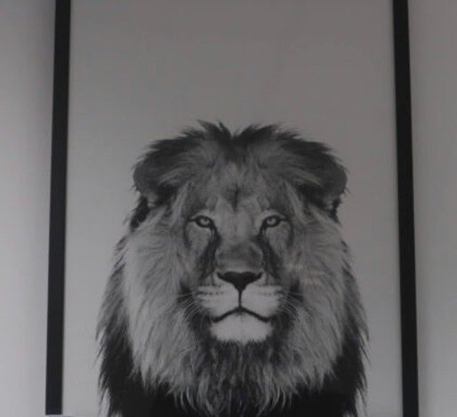 This is just a little snippet of the wonders we bring this weekend! 

Online auction live now, finish starts on Sunday about 11am with a staggered end! 

Get over to badgersauctions.com to see for yourselves!!!! 👀👀👀👀👀

#badgersauctions #onlineauction #auctionhouse