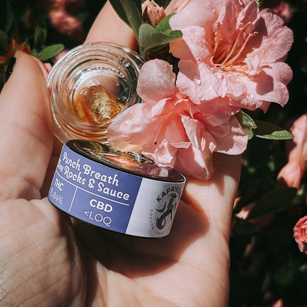 Artifact Extracts tweet media