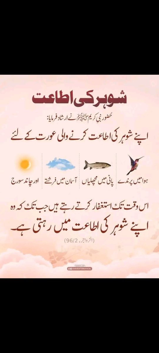 Shahid (@shahid06354562) on Twitter photo 