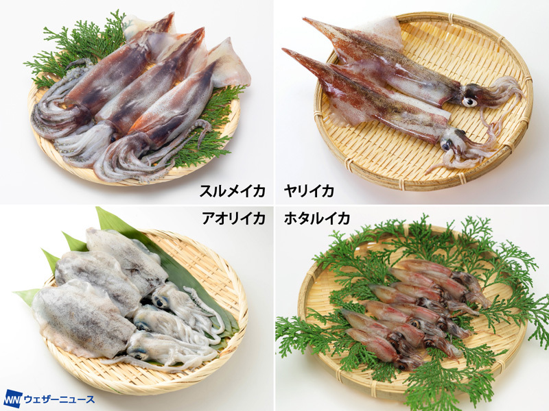 みんなの もう絶対の絶対の絶対に作らない って決めてる料理 は 手間のかかる料理が続々と寄せられた Togetter みんなの もう絶対の絶対の絶対に作らない って決めてる料理 は 手間のかかる料理が続々と寄せられた Togetter