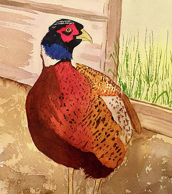 DeborahLeagueFA's tweet photo. #primative style #painting of a #ringneckrooster. #watercolorpainting #watercolorart #watercolorbird #rooster #barnyard
AVAILABLE HERE - https://t.co/3Op97tvdwC
#buyintoart #findartthissummer https://t.co/y0mZnXcxsB