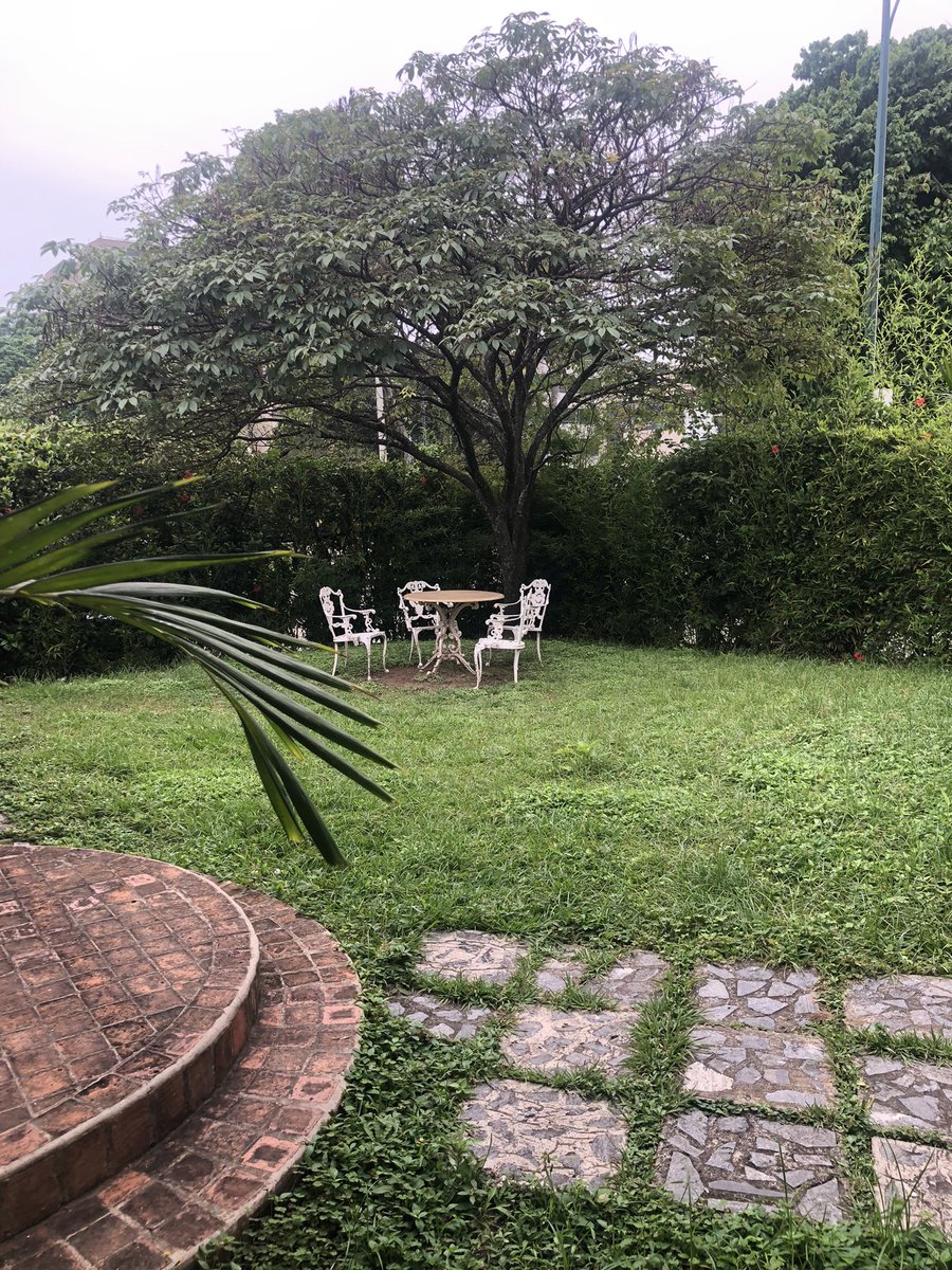 vancampi's tweet photo. Gracias por estos espacios. #BackToTherapy https://t.co/FYvAd3huNI