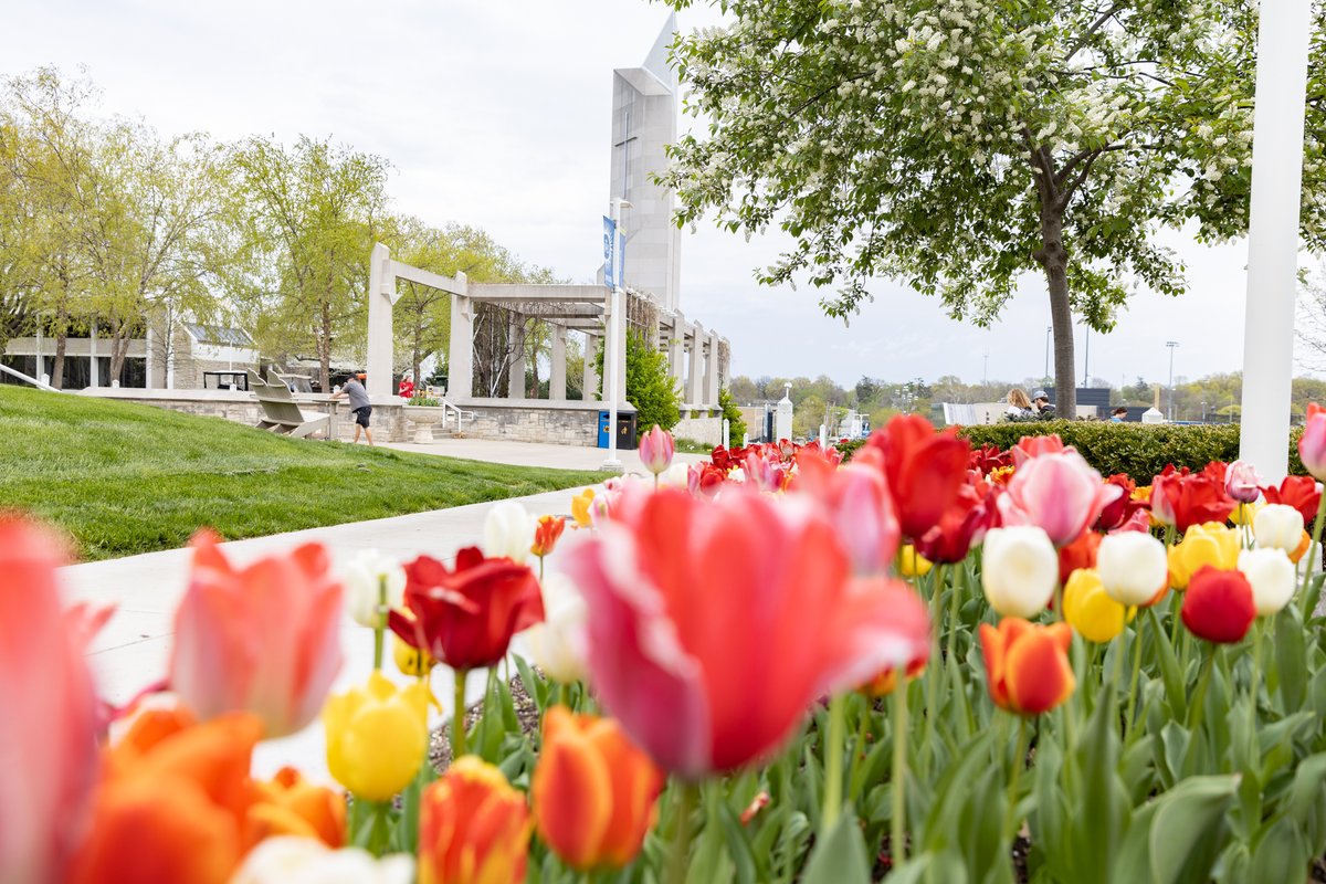 RockhurstU's tweet image. Rockhurst University announces the spring 2022 Dean's List. This honor recognizes students who have achieved a grade-point average of 3.5 or above. bit.ly/3yXRYju