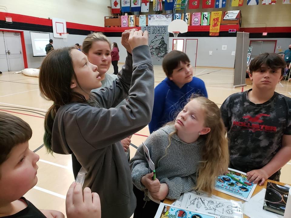 St. Joseph's Elementary tweet media