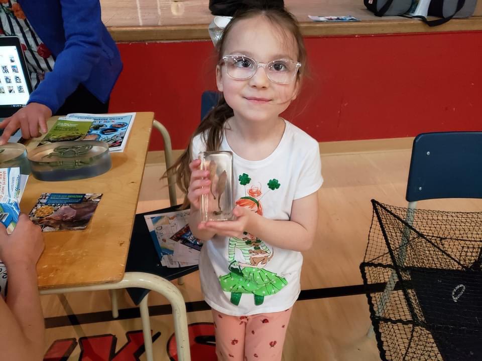 St. Joseph's Elementary tweet media