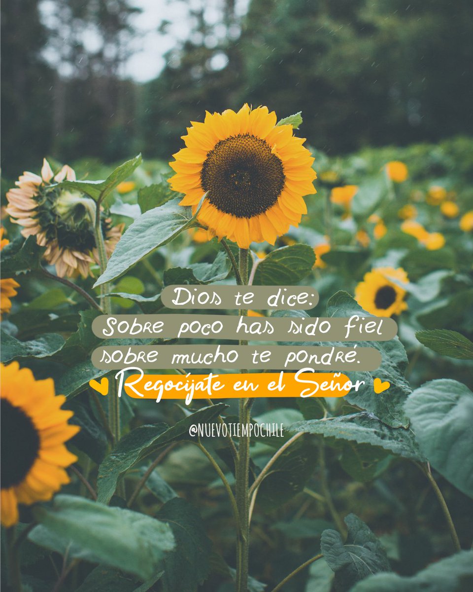 ntchile's tweet image. 💫”... Sé fiel hasta la muerte, y yo te daré la corona de la vida” 💕 #Apocalipsis 2:10 📖

🙌Por #difícil que se ponga el camino, debes mirar que cada obstáculo te trae algún beneficio 💪✨, #persevera 🙌, sé fiel y #Dios te recompensará. 😍👑

#FelizLunes ✌

#frasescristianas