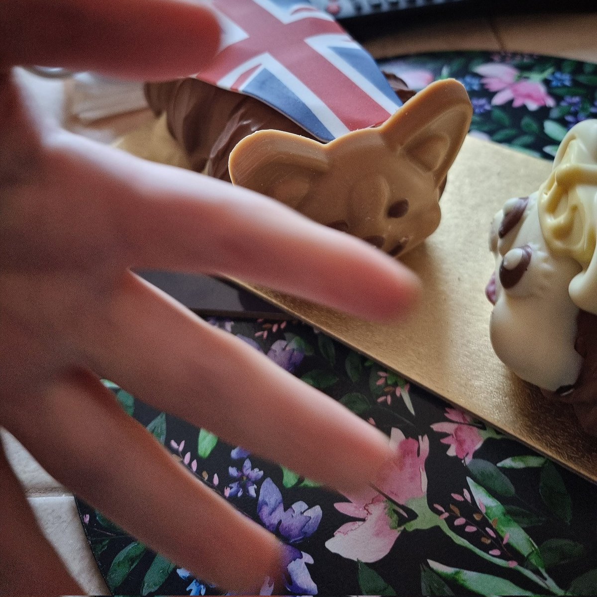 stacyleanne12's tweet photo. I was trying to take a photo of the jubilee cake my folks got for us to scoff on our anniversary... the kid photo bombed! 🤣 xx #cake #anniversary #folks #daughter #motherhood #fridaytea https://t.co/0eO5F1q5BE