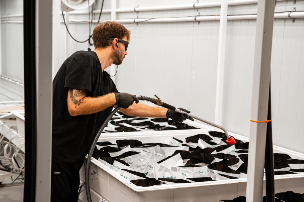 fluentcannabis's tweet photo. Turn work into your dream job! π
If you've ever wanted to work in the cannabis industry check out our careers page for a full list of open positions at Fluent π https://t.co/YCFsJ6yyfm
#WeSpeakCannabis #WorkingWithWeed #CannabisCultivation https://t.co/m56y2sxIst