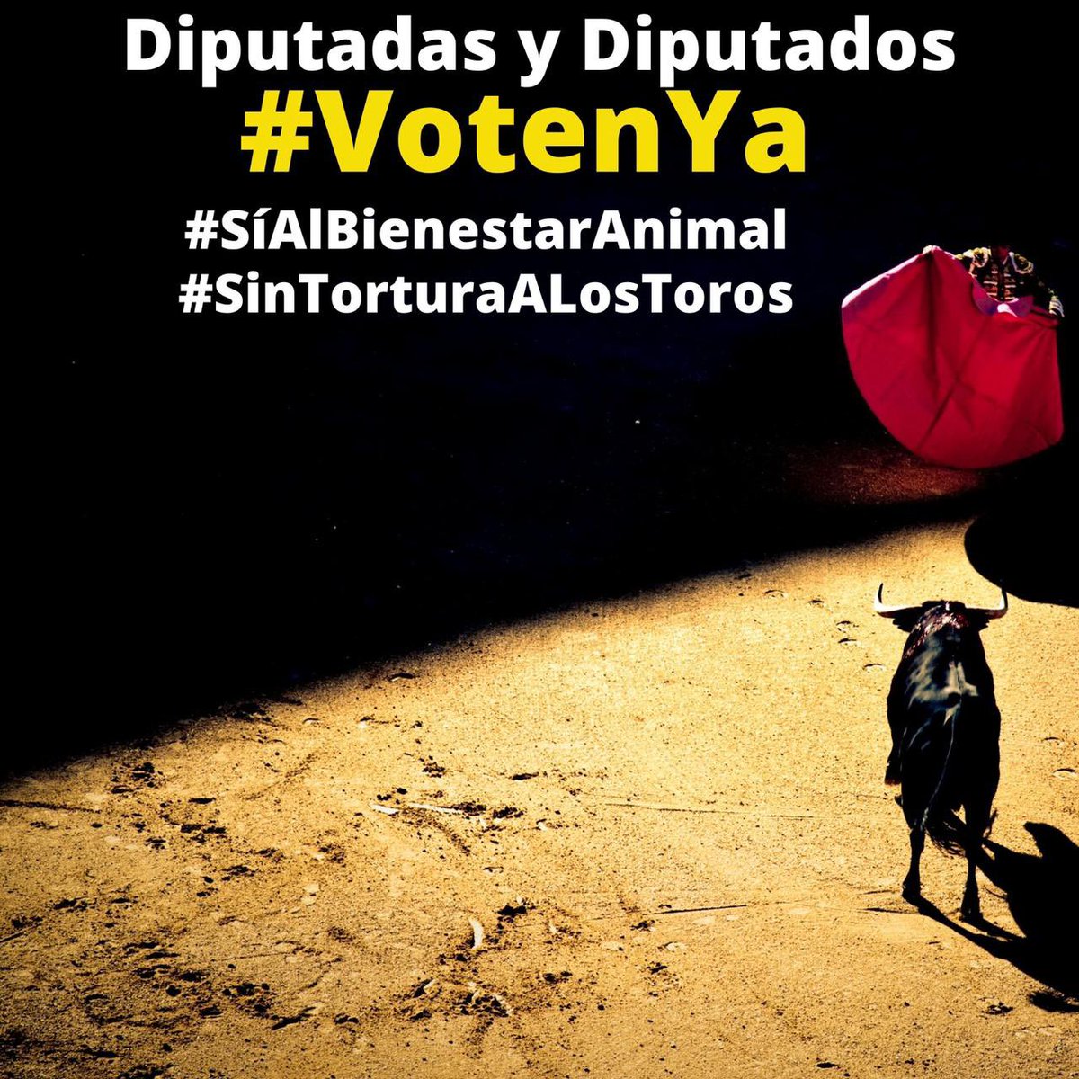ChuchoSesmaPVEM's tweet photo. #SíAlBienestarAnimal
#SinTorturaALosToros https://t.co/yhPOF92scB