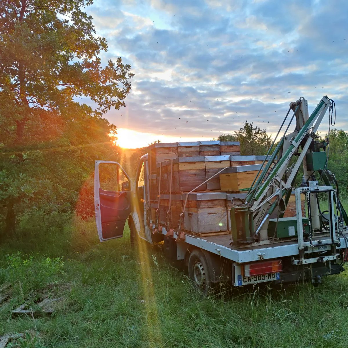 Direction le châtaignier 😍