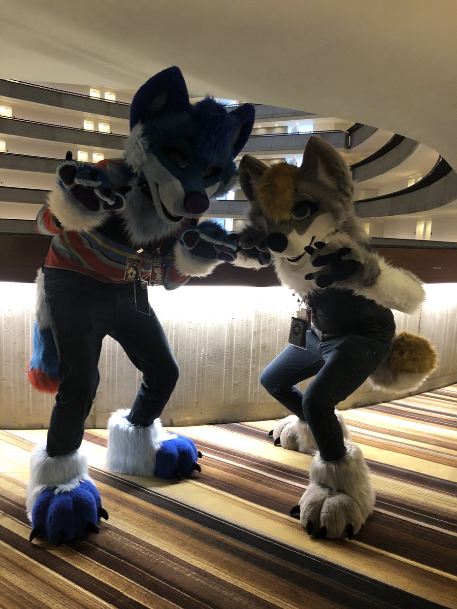 CalixWulf tweet media