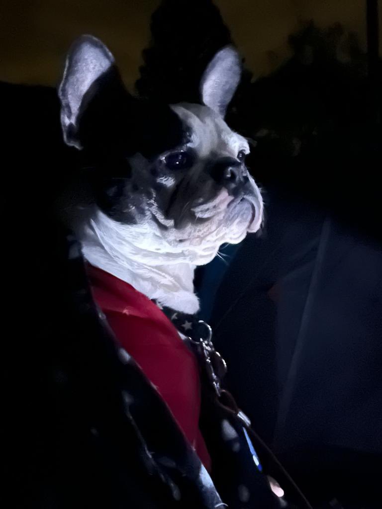 airtime55's tweet photo. @MarkHamill @RealClancyBrown #barkvader   #starwars should I be worried, I think Darth Willow is plotting https://t.co/YG8NtkDDhS