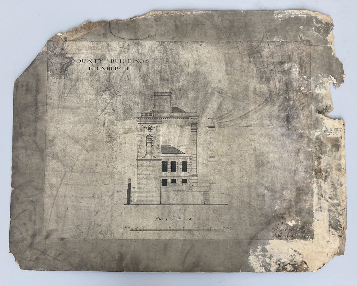 Tizzy Hepher tweet media