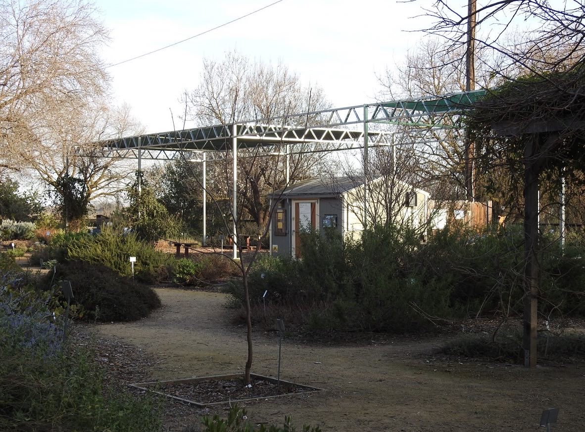 BioDivDay's tweet image. Have you ever heard of the UC Davis Bee Haven?

If not, now you know! Visitors can observe and learn about bees and the plants they pollinate at this unique outdoor museum.

If you want to visit the #UCDavis Bee Haven, it is open daily at no charge from dawn to dusk.