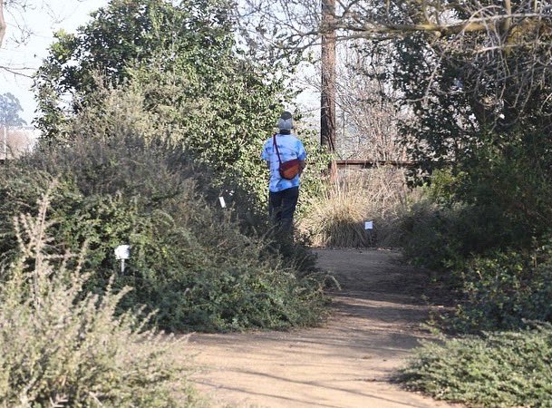 BioDivDay's tweet image. Have you ever heard of the UC Davis Bee Haven?

If not, now you know! Visitors can observe and learn about bees and the plants they pollinate at this unique outdoor museum.

If you want to visit the #UCDavis Bee Haven, it is open daily at no charge from dawn to dusk.