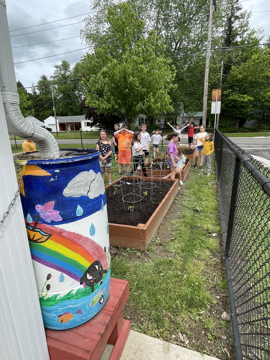 MrsMooney4th's tweet photo. Cherry tomatoes, sunflowers, zucchini, beans, and peppers all planted today by these growers! Alden Intermediate School's community garden is back in business @AldenIntSchool https://t.co/OAx3U6cHDa