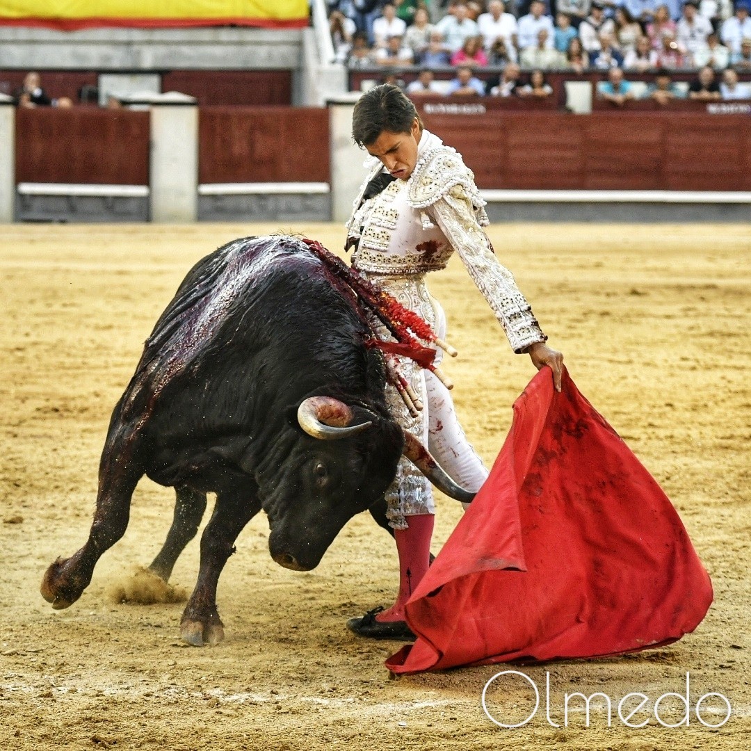 Muy puro el toreo de Ángel Téllez.
Esta tarde ha abierto la Puerta Grande de Las Ventas.