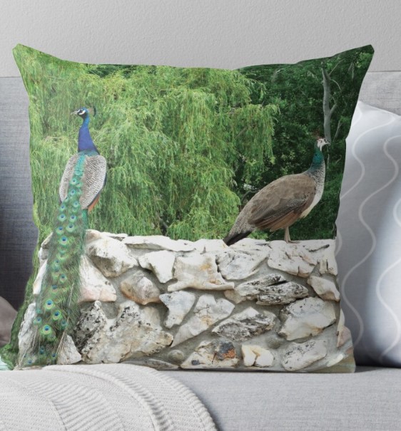 Manitarka's tweet photo. #peacock #birds #peacockphoto #photography #nature  #birds #pillow #notebook #tores #cases #skin #Redbibble #Manitarka
https://t.co/2LkFRLPjYU https://t.co/tE9y2R9hVl