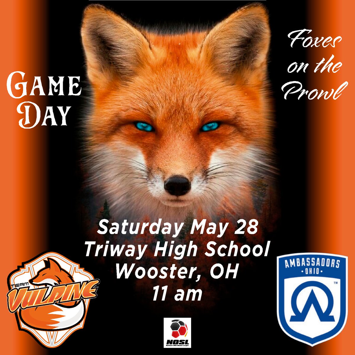 This week's game is a matchup with the defending NOSL champions.  The little team that could is looking to take a bite out of the big dogs.