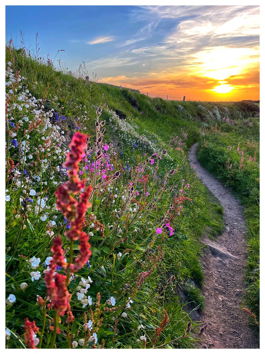Sunset in #Pembrokeshire!
<a href="/StormHour/">#StormHour</a> <a href="/ThePhotoHour/">#ThePhotoHour</a>