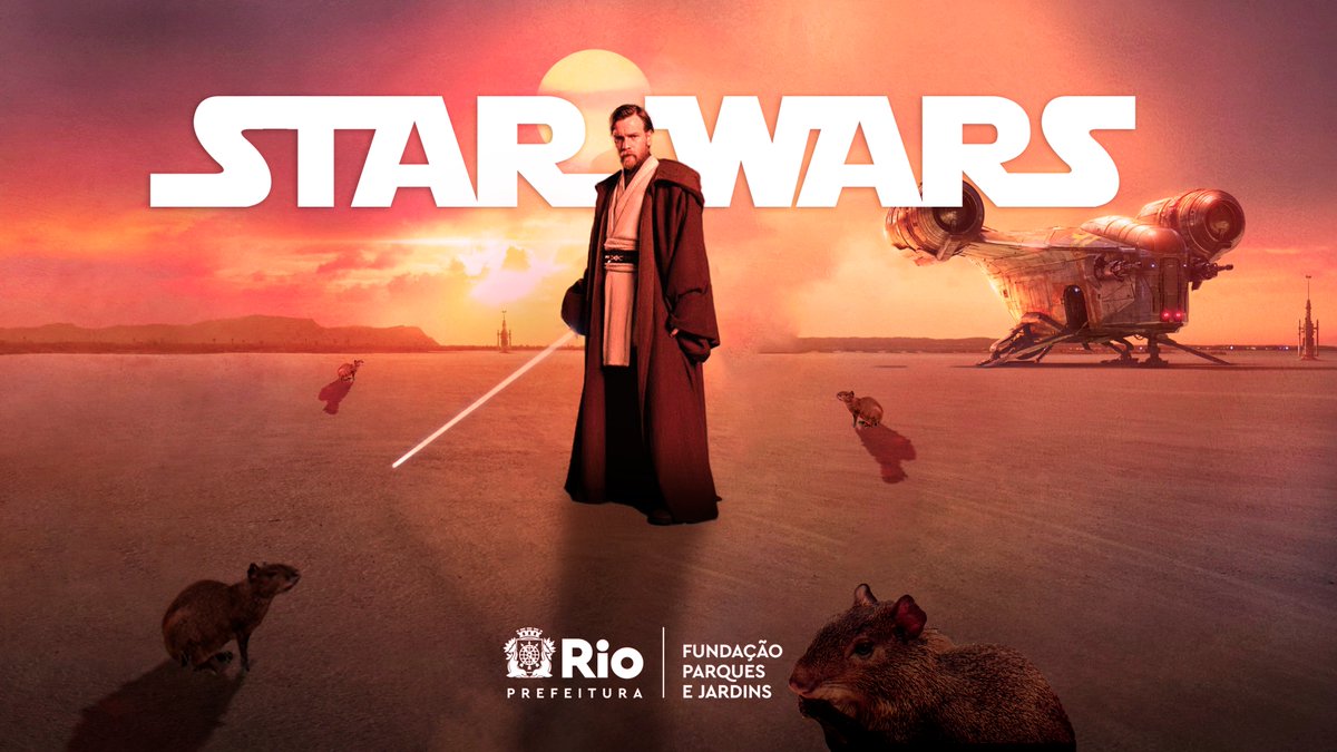 Hoje é dia da mata atlântica, mas tbm é dia de Obi-Wan e as nossas 4 cutias soltas hoje no <a href="/parnatijuca/">Parque Nacional da Tijuca - BRA</a>, deram uma passada rápida no cenário de Star Wars para cumprimentar nosso querido Jedi!!

<a href="/Prefeitura_Rio/">Prefeitura do Rio</a> 

#PrefeituraRIO22 #ObiWan #StarWars #DisneyPlus  #Jedi #refauna