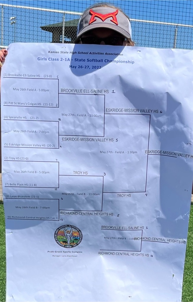 LADY VIKINGS ARE STATE CHAMPIONS!!  They defeated the #2 seed Troy Trojans 6-4 to take the title. 
#VIKINGPRIDE