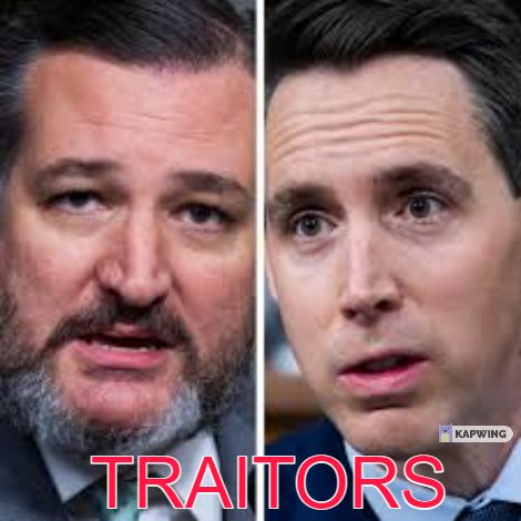 haccpjod's tweet photo. #JoshHawley #NeoNazi #RussianOwned https://t.co/neXtK3HPSi