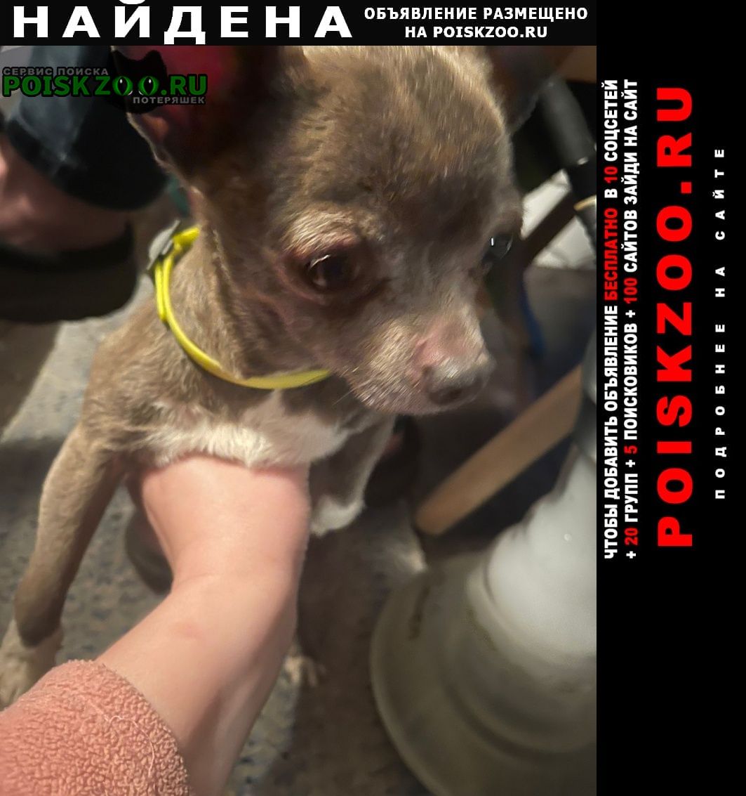 POISKZOO.RU™ tweet media