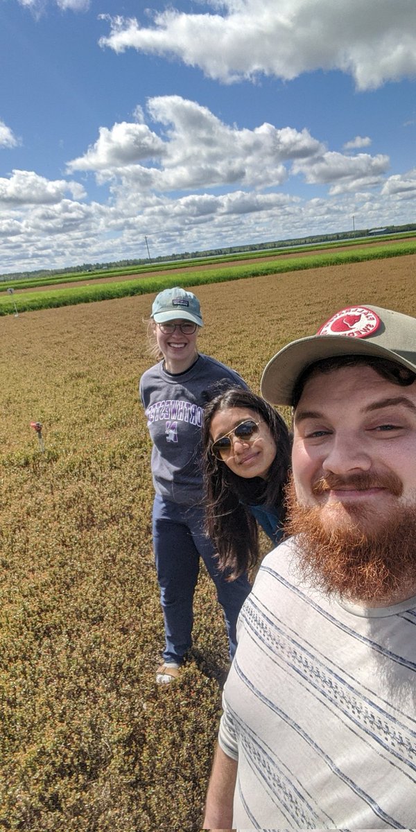Successfully unsuccessful or unsuccessfully successful cranberry field day- haven't quite decided yet!