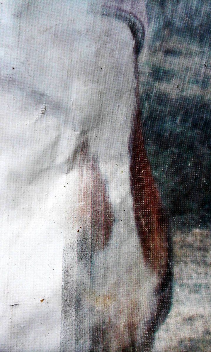 Krisdesign4's tweet photo. Great-grandfather with a penguin on a wooden tarp https://t.co/b8vAitznxK