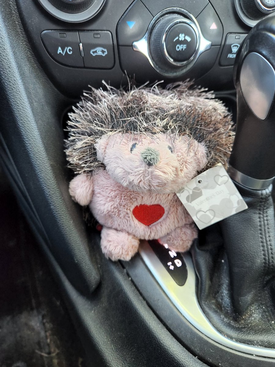 JosephBeckerMN's tweet photo. @neilhimself This is my hedgehog, Werner. He's more than happy to take on the role. https://t.co/N0kcKtXsTD