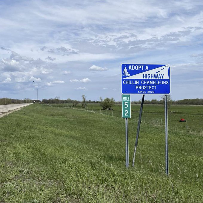 Chillin Chameleons x Pro2tect highway is officially established 🛣♻️  A huge shoutout to our community<a href="/tag/chamilia"class="tags"><span>#chamilia</span></a>