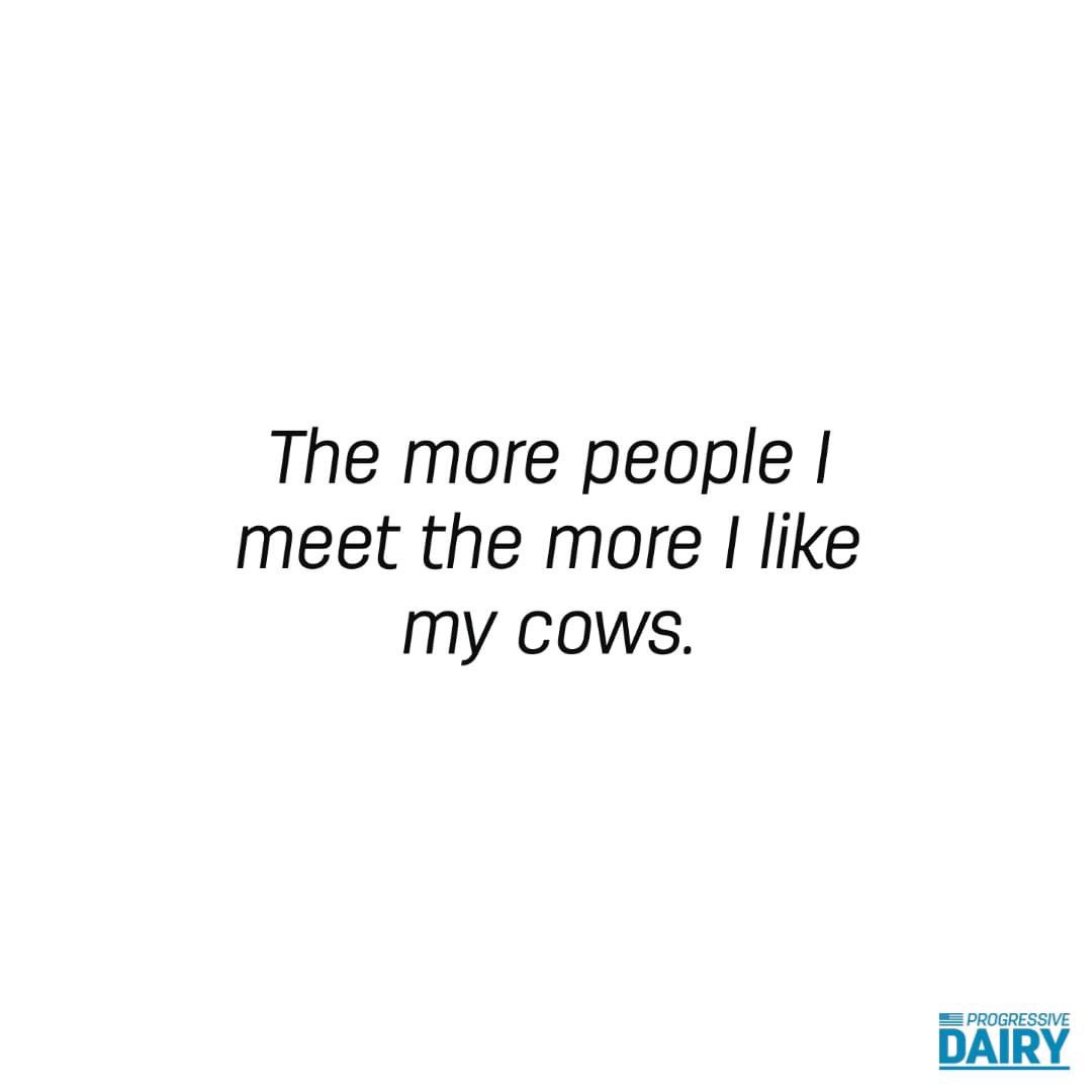 Amen to that #lovecows