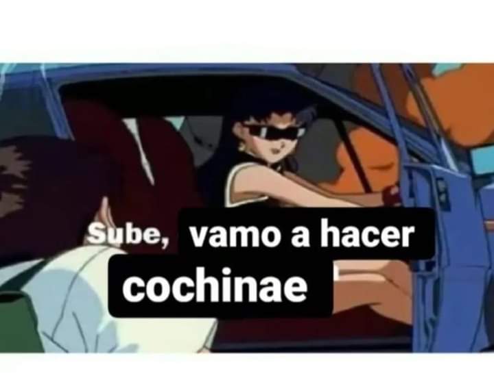 Vamos hacer cochinae