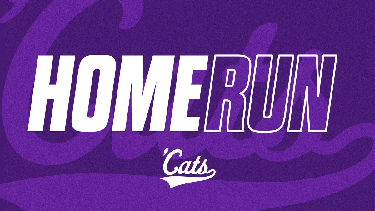 Northwestern Softball tweet media