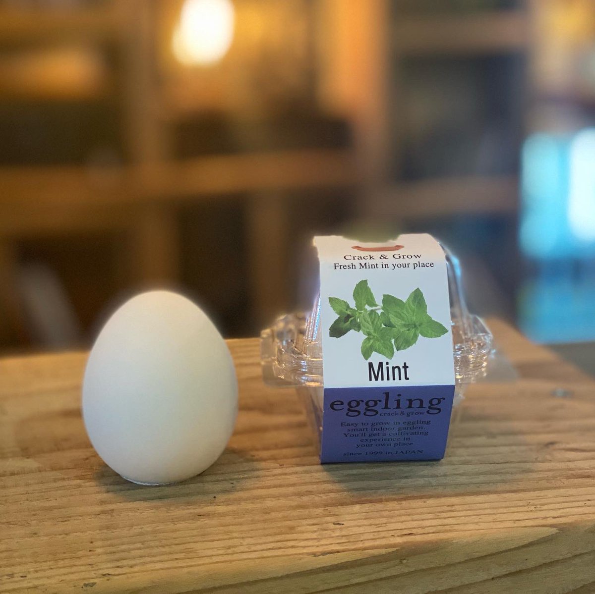 kyomiyabunten's tweet photo. 芽が出るたまご、きた!
#京見屋分店
#eggling https://t.co/7SoUQbel12