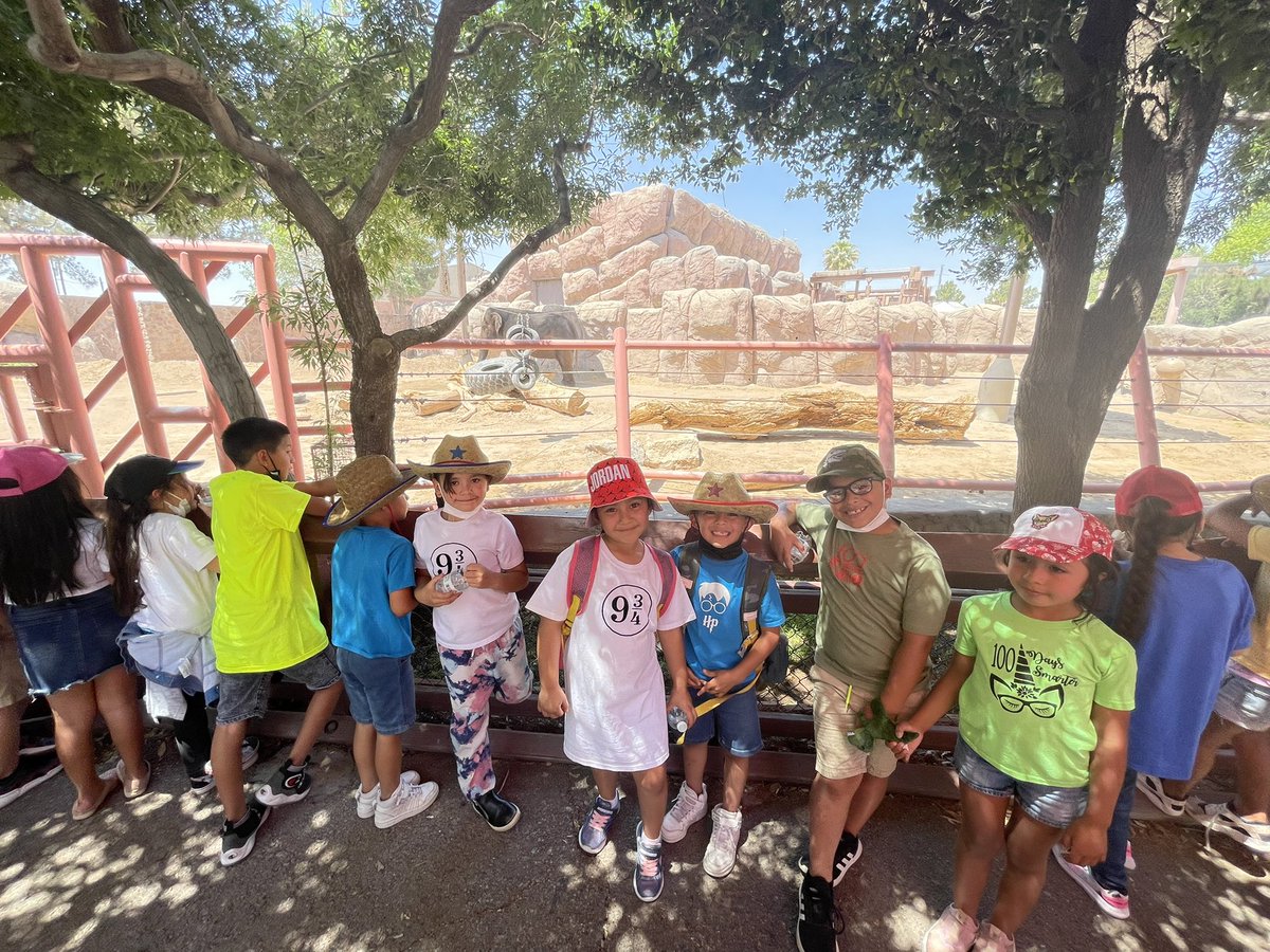 Ms. Daniela Ruan tweet media