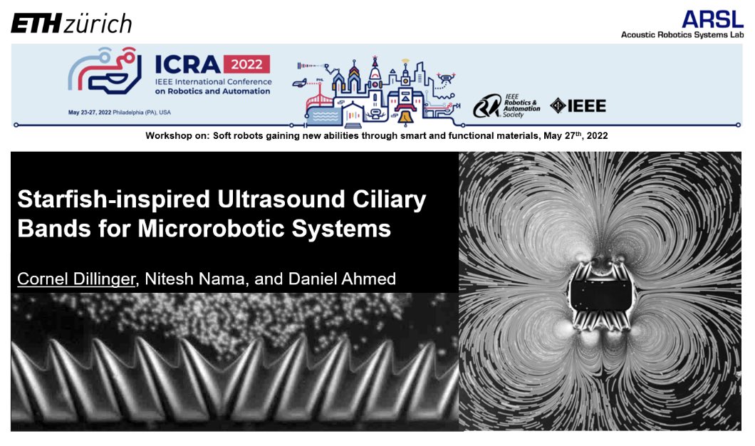 CornelDi11inger's tweet photo. Attended a very interesting workshop at #ICRA2022 today; How soft robots gain new abilities through smart and functional material. Thanks @softmatrobotics for providing such a platform to present our work on „Starfish-inspired Ultrasound Ciliary Bands for Microrobotic Systems“ https://t.co/q7SuXSx7Ed