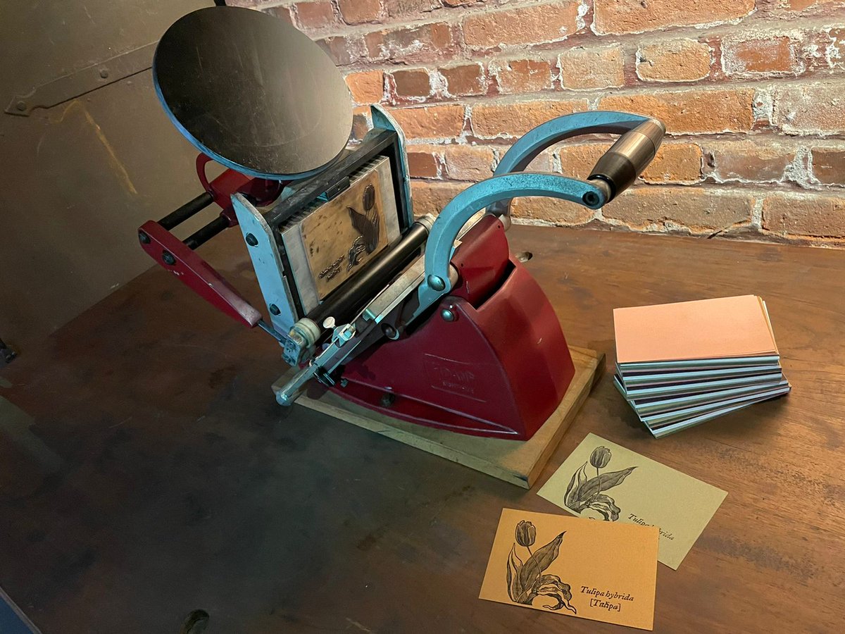 Cliart's tweet photo. VIVÊNCIA DE IMPRESSÃO TIPOGRÁFICA
Gravura de tulipa do século XIX

Exposição
Cláudio Rocha – Active Principle
Onde: Casa das Caldeiras, Av. Francisco Matarazzo, 2000
Quando: 21/5, às 17h, com uma conversa com o artista às 18h.
 
#tipografia #exposição #typedesign #Cliart https://t.co/RfsFqljeiE