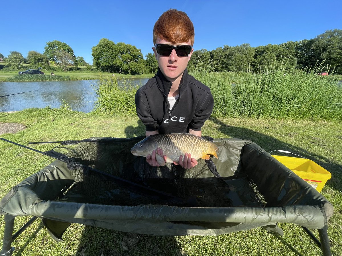 RoyalFishClub1 tweet picture