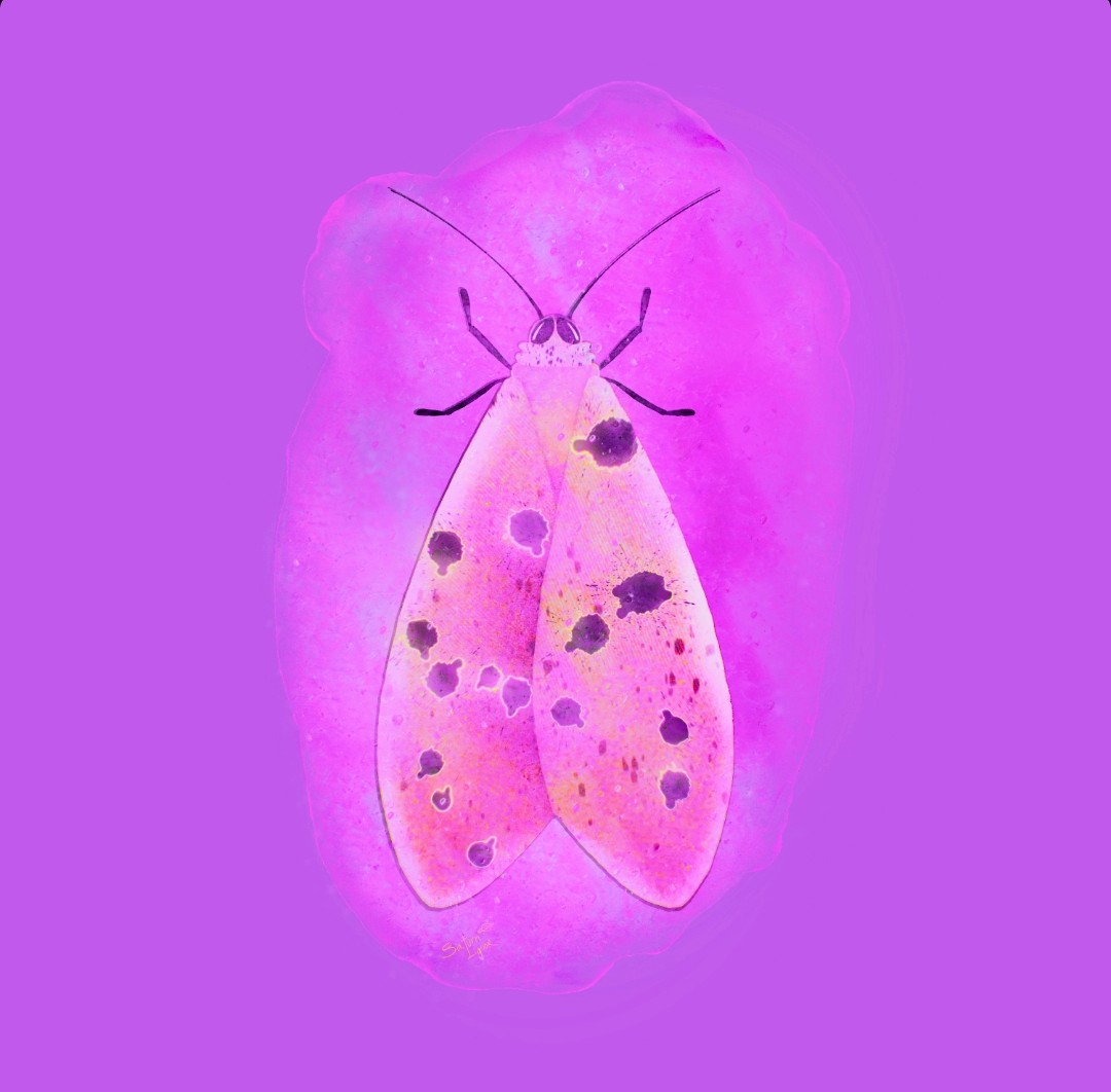 Finally 😁
Thank u <a href="/SaturnLiquor/">Saturn Liquor 🪐</a> 🦋