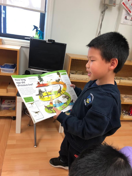 CentralCMS's tweet image. This week we learned about dinosaurs. We took every opportunity to be creative; building models, reading about the dinosaur journey and finally painting and designing our very own dinosaurs! #learningisalwaysfun #creativity #handsonlearning #learning