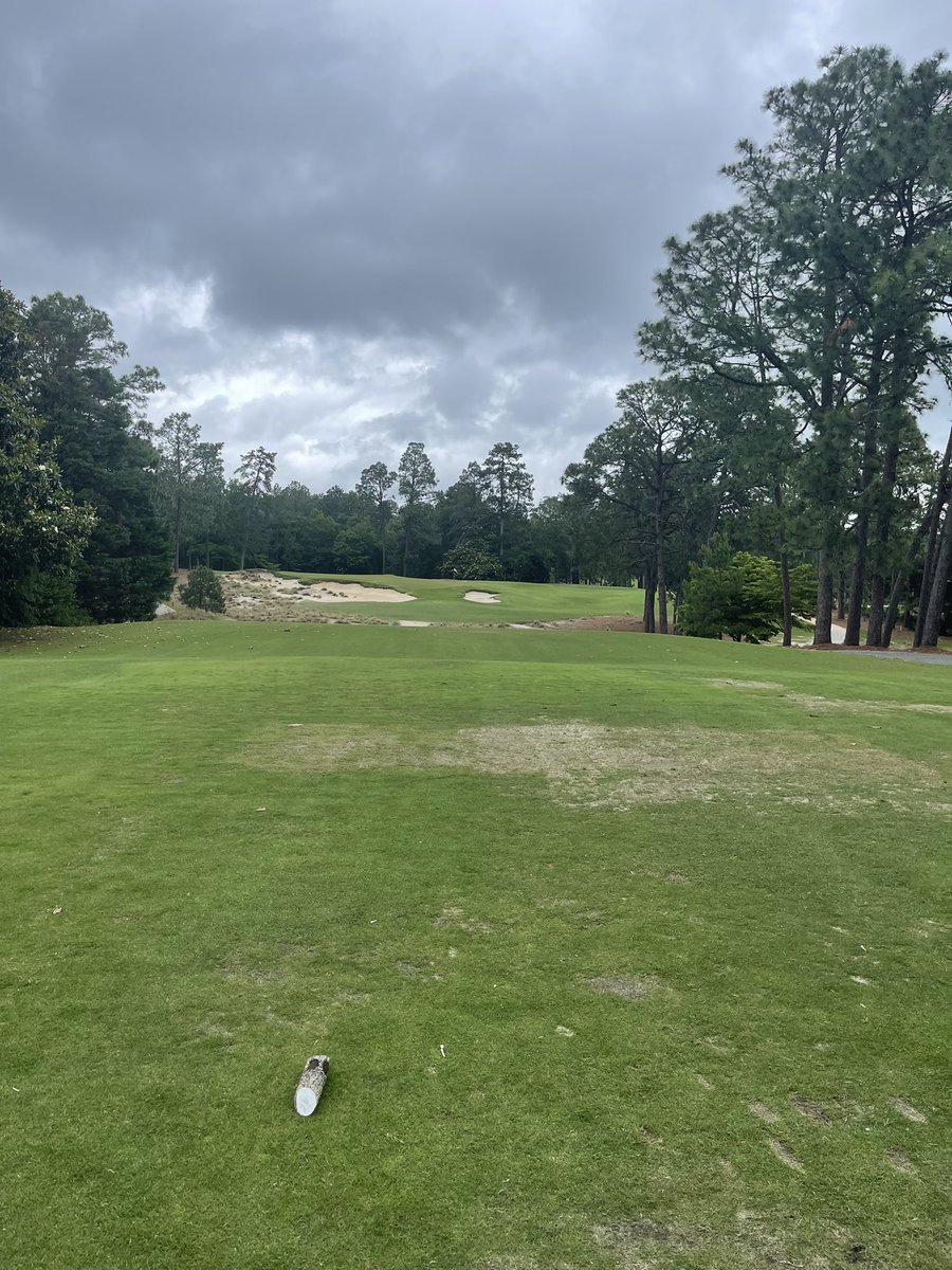 fargolawyer's tweet photo. Us: Is this heaven?
Them: No it’s @PinehurstResort #golfutopia #pinehurst2 https://t.co/L36YXzP91p