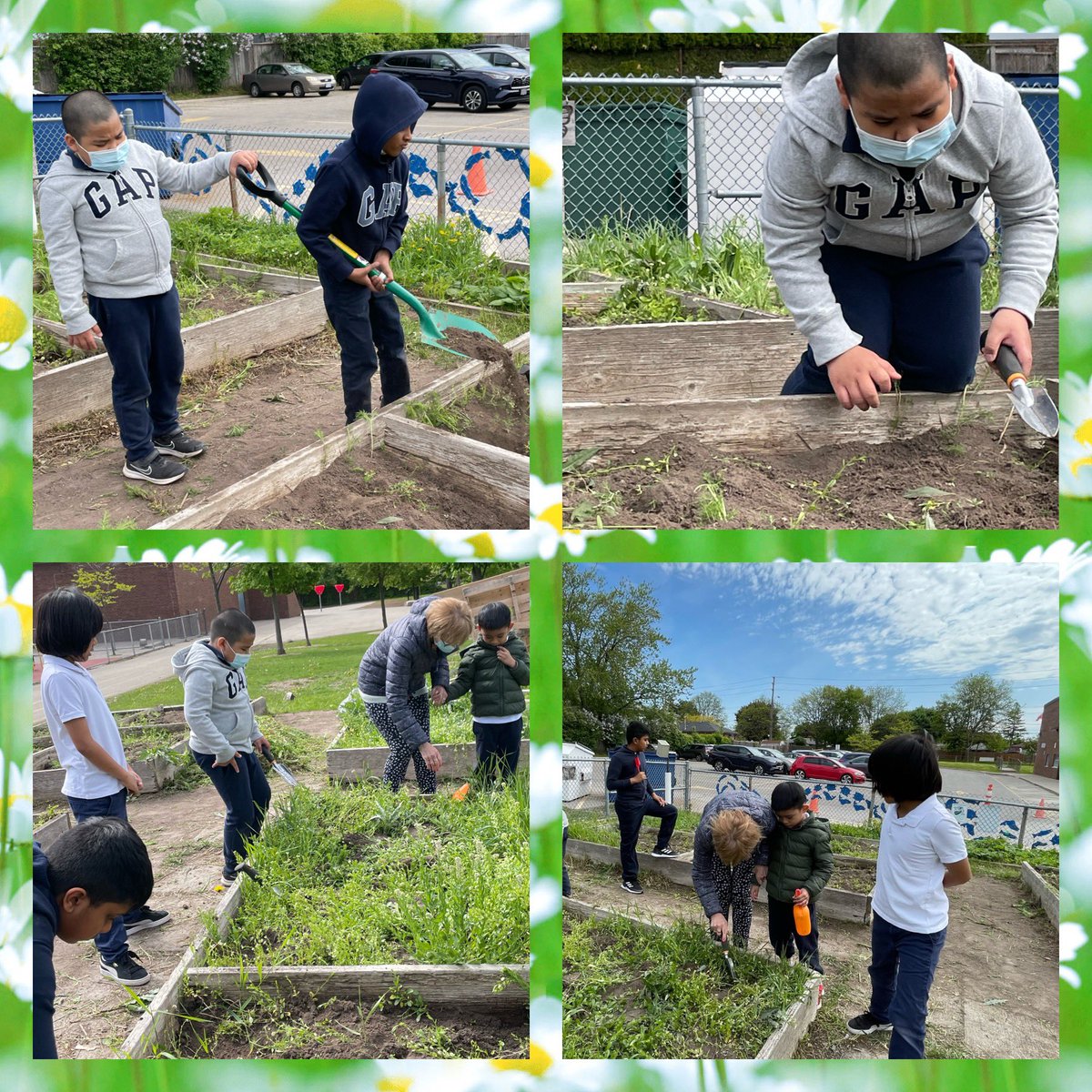 It’s been a busy week outdoors! Our friendship club meets and comes together to weed and prepare our veggie beds for planting. ❤️ how our students <a href="/strichard_tcdsb/">St. Richard C.S.</a> <a href="/TCDSB/">Toronto Catholic District School Board</a> accept, love and understand each other! Thank you <a href="/BestBuddiesCND/">Best Buddies Canada</a> for this awesome initiative!